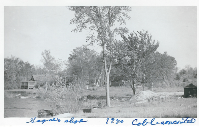A black and white photo of trees and a river

Description automatically generated